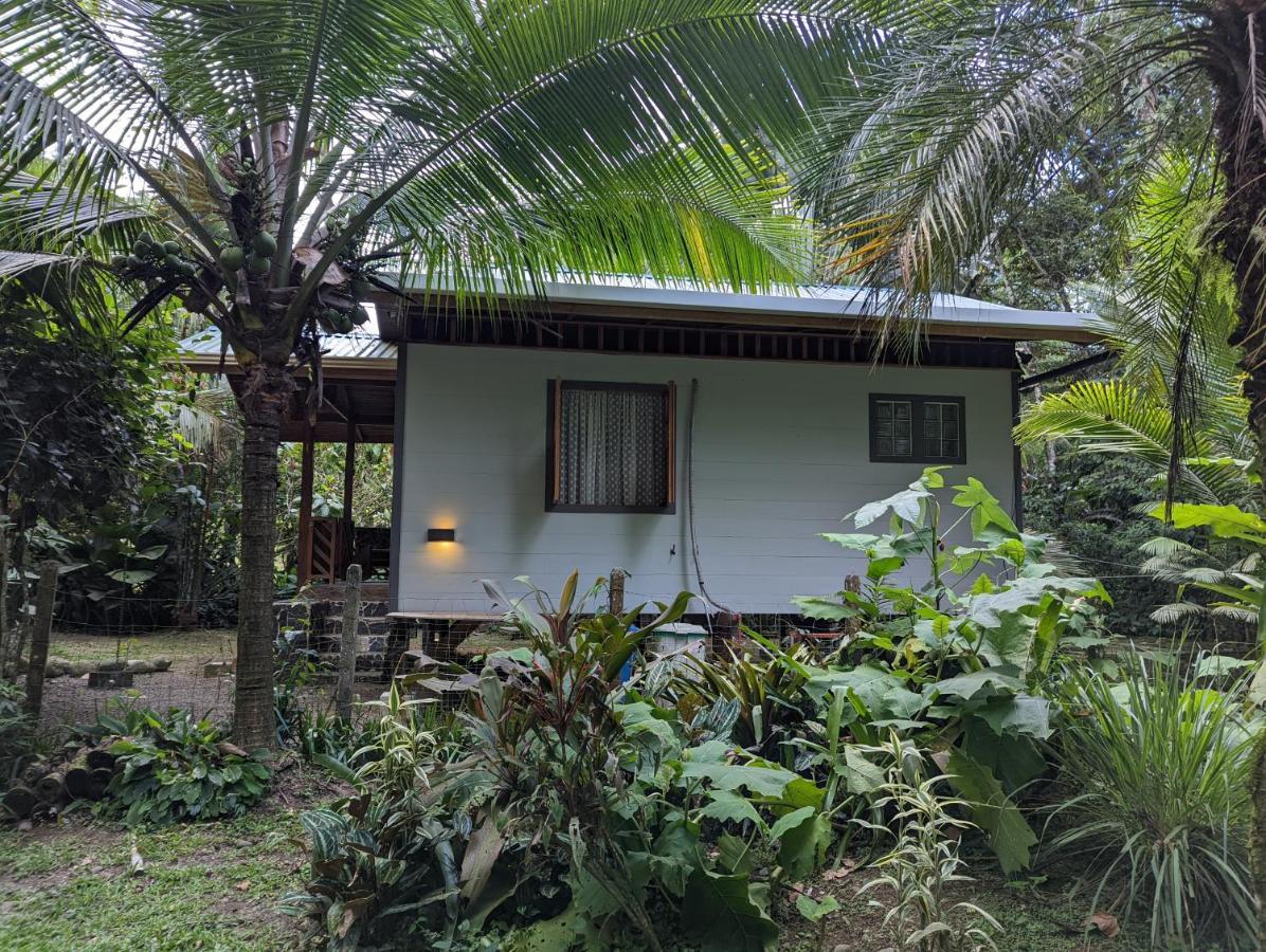 Casita Bribri At Margarita Hills Villa Cocles Luaran gambar